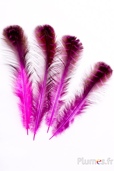 Paon vert - 20-25 cm - vert-noir-fuchsia
